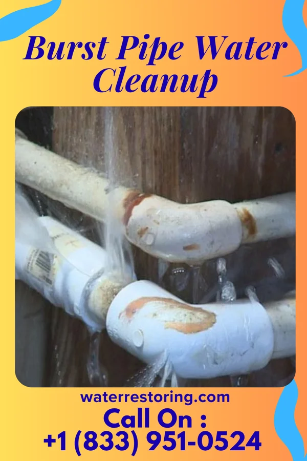 Burst Pipe Water Cleanup in Coleytown, CT